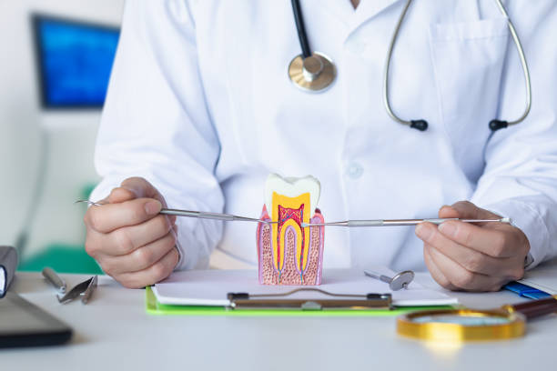 Best Emergency Cosmetic Dentistry in Sanford, ME